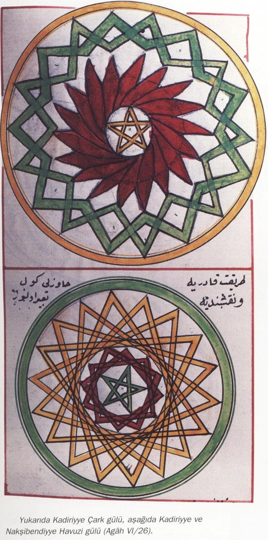 Gül çizimleri