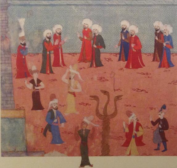 Attarlar zümresi