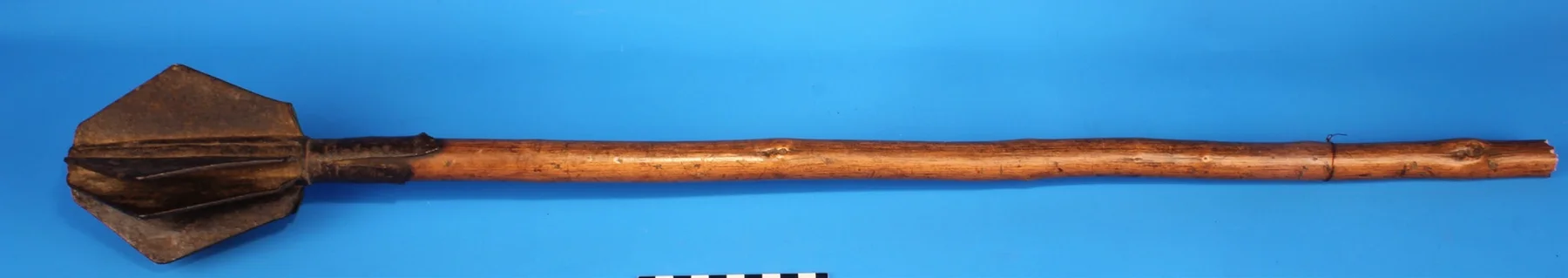 Şeşper